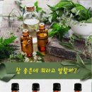 궁아로마