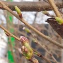 영동농협주유소 이미지