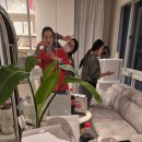 선광2호 이미지