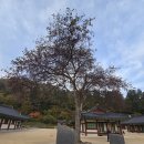 설악산 백담사(百潭寺) 이미지