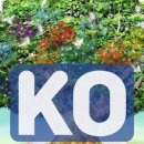 동구-21(대전천 이미지