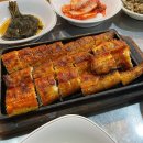 풍천임금님민물장어 티스토리