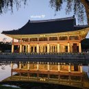 쉽고 예쁜 수채화(야간) | 2025년 하반기 9월 경복궁 야간 개장 관람 후기 (예매, 시간, 무료 입장 정보 등)