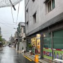 신전이용원