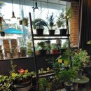 성북동-885 | 토분 구매후기_성북동 가드너스 와이프 플라워 가든 스쿨