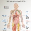 육종암의 원인 인자로 추정되는 요인 이미지