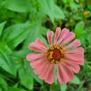 유진마취통증의학과의원 이미지