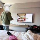 장기초록나라 버스정류장앞 | 2월 일상-스페셜 : 도쿄 여행 1일차