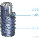 샤르망헤어아트 이미지