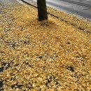 폼내뷰티 이미지