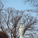 아람참기름집 이미지