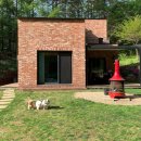 애견동화 이미지