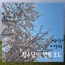 VOLARE by 장미의숲 | 서울 벚꽃명소 후기 : 성북천~중랑천, 꽃비 내리는 경춘선숲길