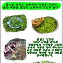 시골밥상펜션 이미지