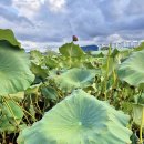 두식농원 이미지