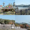 GS25대공원리프트점 | 11월 경기도 단풍 명소 서울대공원 코끼리열차 현대미술관 리프트