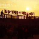 마량포 해넘이.해돋이 축제 이미지