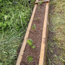 안일영농 이미지