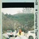 [로모그래피/매거진] 자연을 닮은 필름 감성: 이교준의 Lomomatic 110 첫인상
