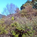 섬진산업