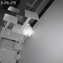 포레스트 캣호텔 이미지