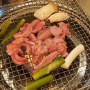 우아한곰장어