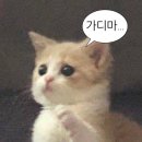 통키오락실 | 이것 뭐예요? 완전 럭키 통키잔아~🍀