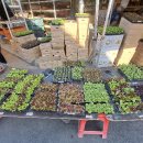 상사남성경로당 이미지