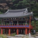 농월정오토캠핑장 이미지