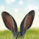 내면탐구 이미지