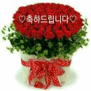 5월 이미지