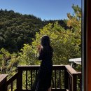 홍천 | 홍천 펜션 마이포레스트 My forest 후기