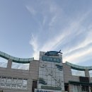 [당진/삽교] 삽교호 전망대종합어시장에서 제철 해산물 포장 후기