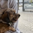 보라매웰종합동물병원 이미지