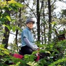 산청승마장 이미지