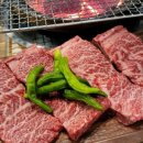 일등한우식당 이미지