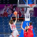 레드웨이브 이미지