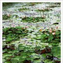 굴전여가캠핑장 이미지