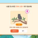 수랜드 B 데일리안