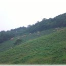 김종필농장 이미지