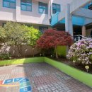 진만초등학교 이미지