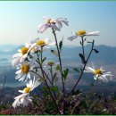 산길따라 이미지