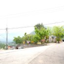 강낭골집 이미지