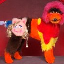 그루밍S 이미지