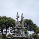 제주건강과 性 박물관 이미지