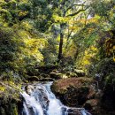 계룡산동학사스타 이미지