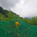 원주굽이길 3코스 회촌달맞이길 이미지