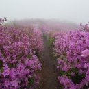 16.09.미얀마.12.06.불암산.11.09.설악산 망경대.하조대.휴휴암.태국. 이미지