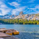 my drink museum 이미지