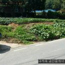 참다운부동산공인중개사사무소 이미지